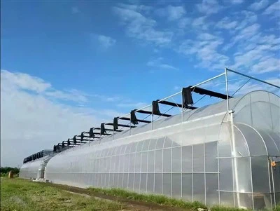 結露防止温室フィルム